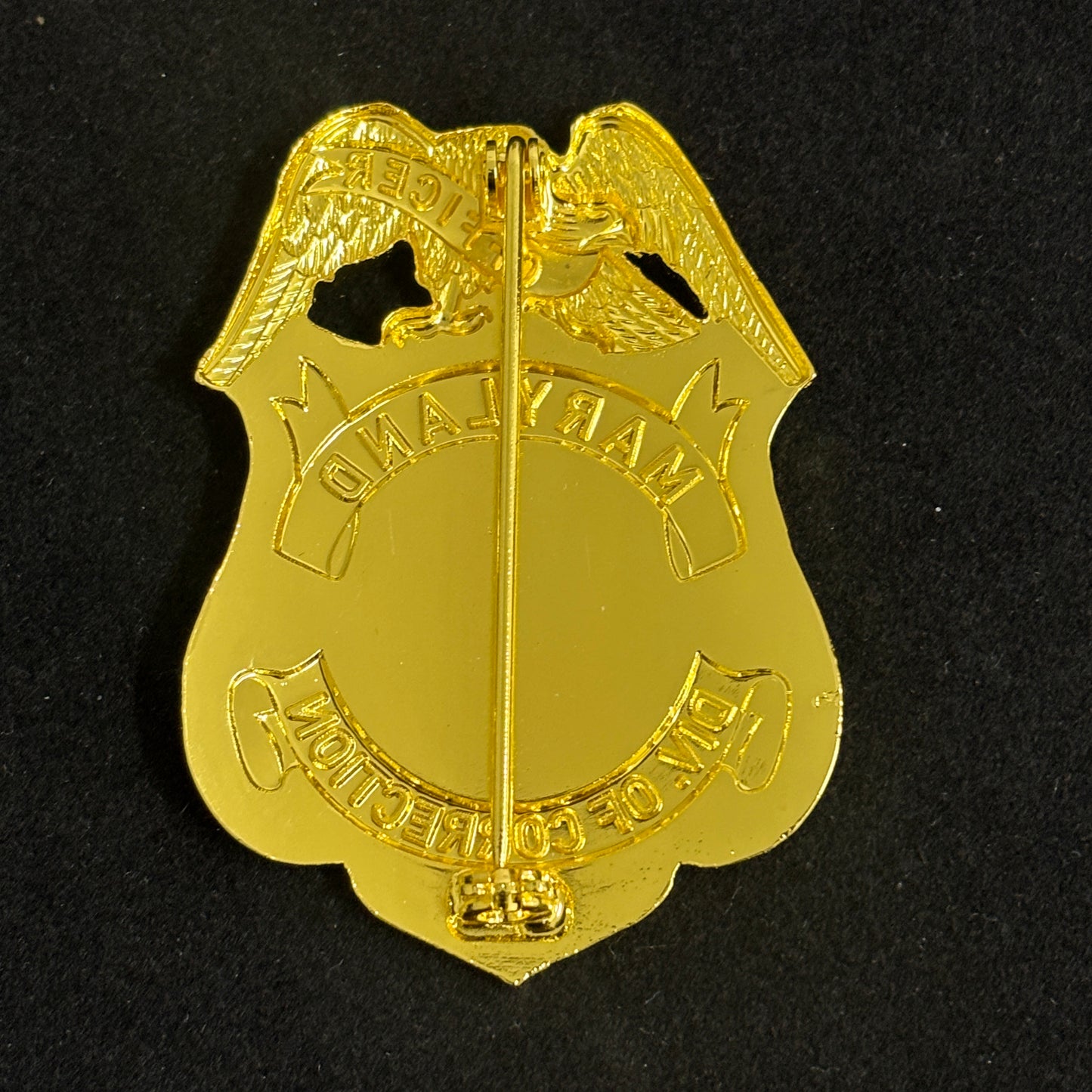 Insignia de utilería de película, réplica de la insignia de oficial de la División de Correcciones de Maryland, EE. UU., personalizable.
