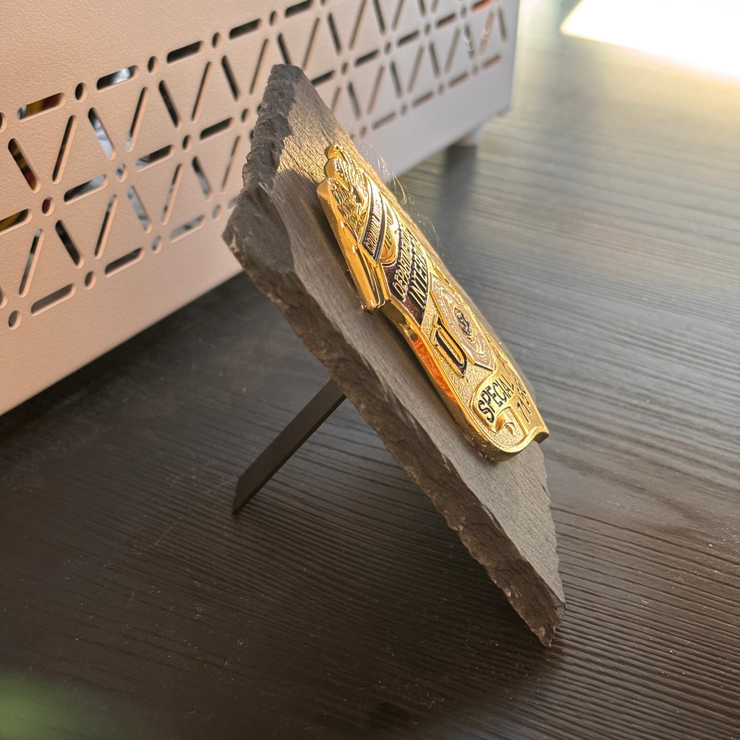 Dept of the interpol badge Plaques Law Enforcement Award & Recognition Collectible gifts retirement memorial