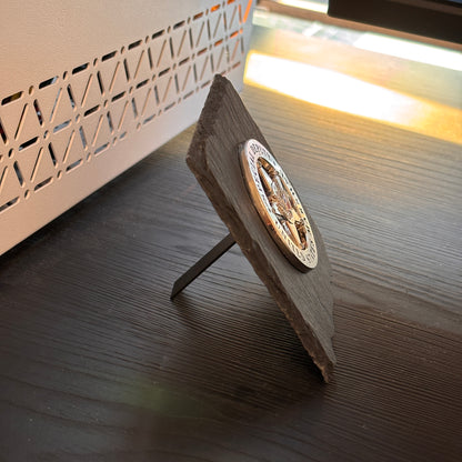 US Marshal Special Deputy badge Plaques Law Enforcement Award & Recognition Collectible gifts retirement memorial