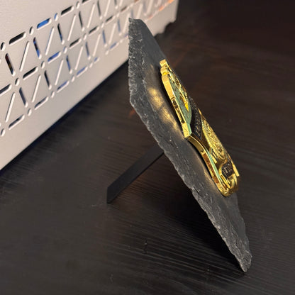 US CBP Border patrol badge Plaques Law Enforcement Award & Recognition Collectible gifts retirement memorial