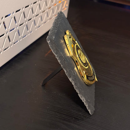 US Diplomatic Security Service Badge Plaques Law Enforcement Award & Recognition Collectible gifts retirement memorial