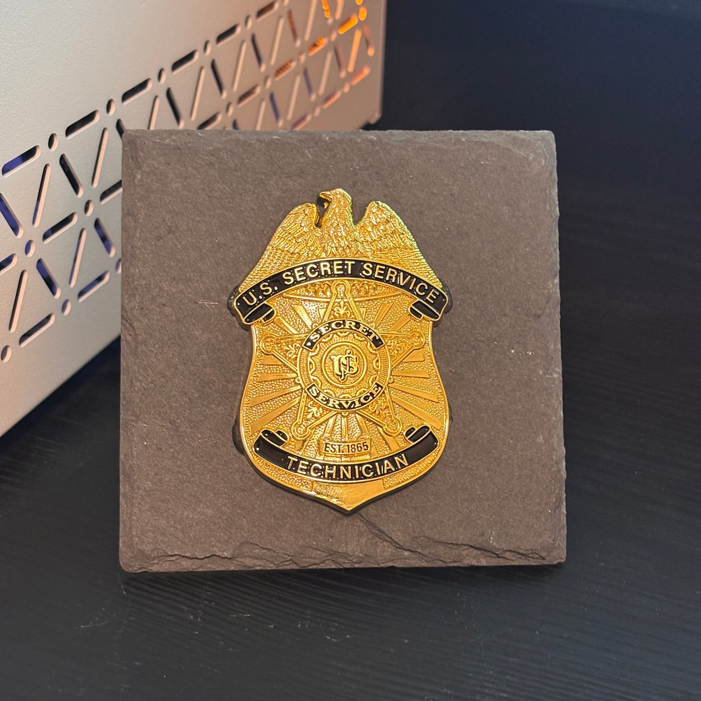 US Security Service Technician Badge Plaques Law Enforcement Award & Recognition Collectible gifts retirement memorial