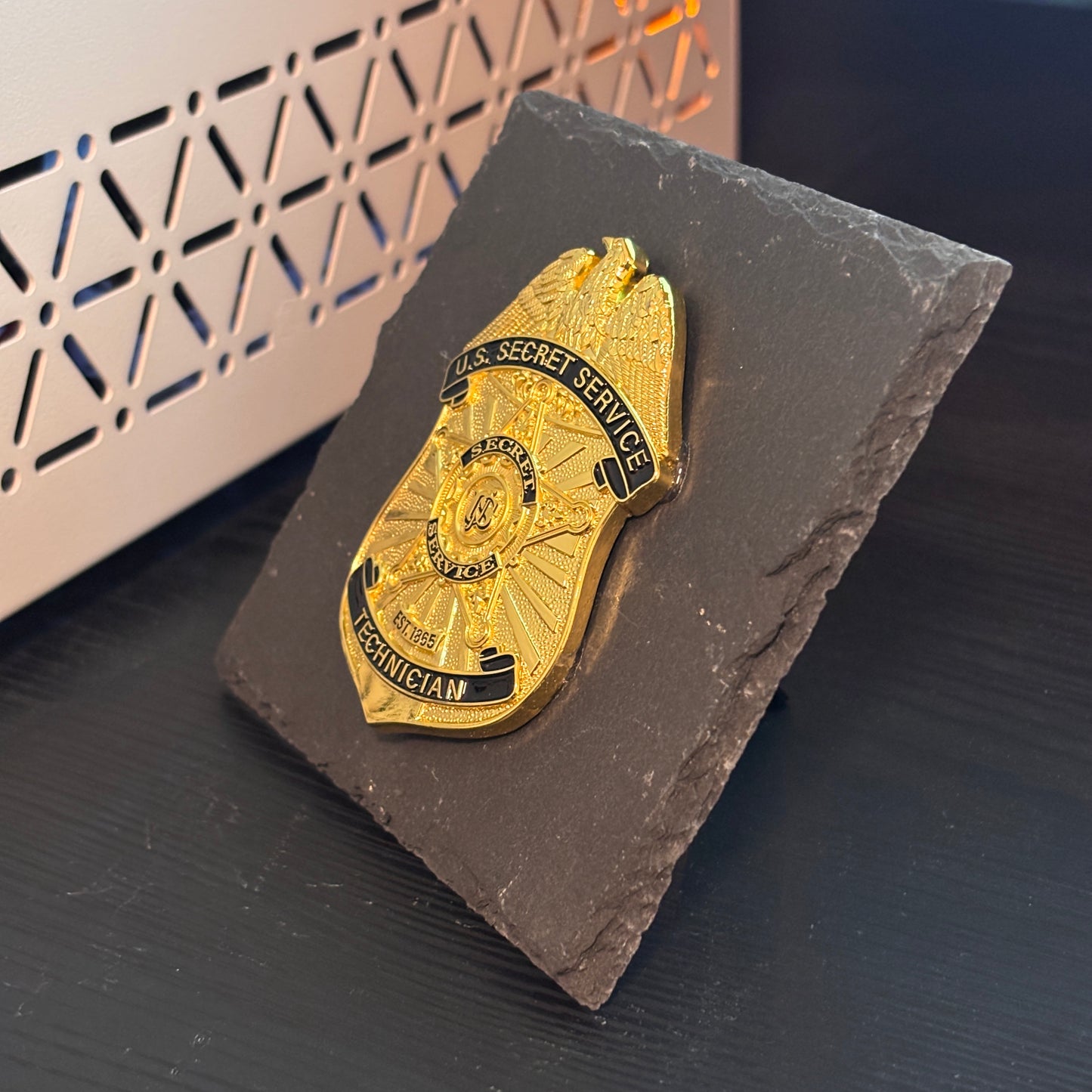 US Security Service Technician Badge Plaques Law Enforcement Award & Recognition Collectible gifts retirement memorial