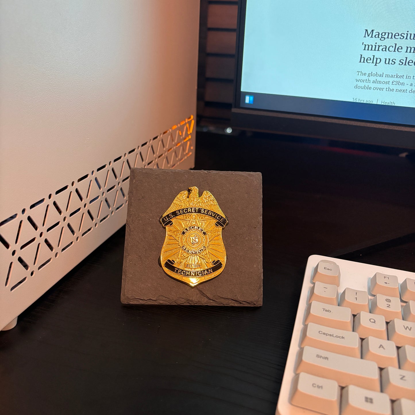 US Security Service Technician Badge Plaques Law Enforcement Award & Recognition Collectible gifts retirement memorial