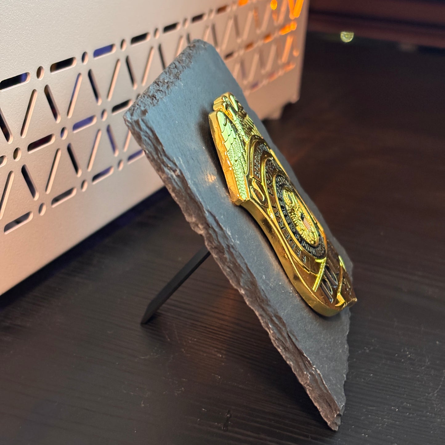 US FPS Special Agent Police Badge Plaques Law Enforcement Award & Recognition Collectible gifts retirement memorial