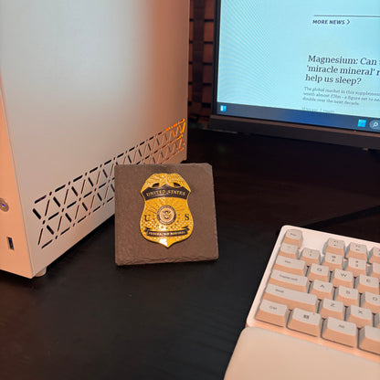 US DHS TSA FAM Federal Air Marshal Badge Plaques Law Enforcement Award & Recognition Collectible gifts retirement memorial