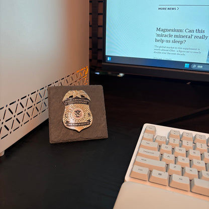 US HSI TFO Task Force Officer Badge Plaques Law Enforcement Award & Recognition Collectible gifts retirement memorial