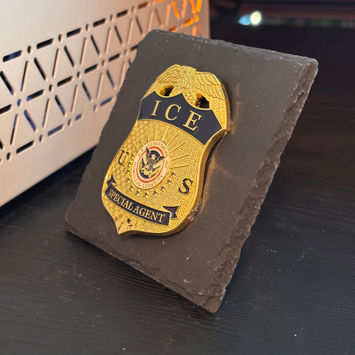 US ICE Special Agent Badge Plaques Law Enforcement Award & Recognition Collectible gifts retirement memorial