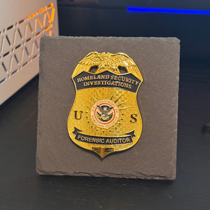 forensic auditor  police badge Desk Decor,Law Enforcement Award & Recognition Collectible gifts retirement memorial