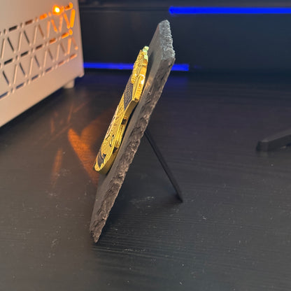 forensic auditor  police badge Desk Decor,Law Enforcement Award & Recognition Collectible gifts retirement memorial