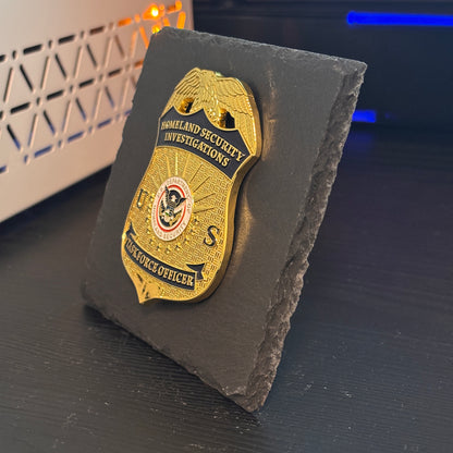 Task Force Officer Desk Decor,Law Enforcement Award & Recognition Collectible gifts retirement memorial