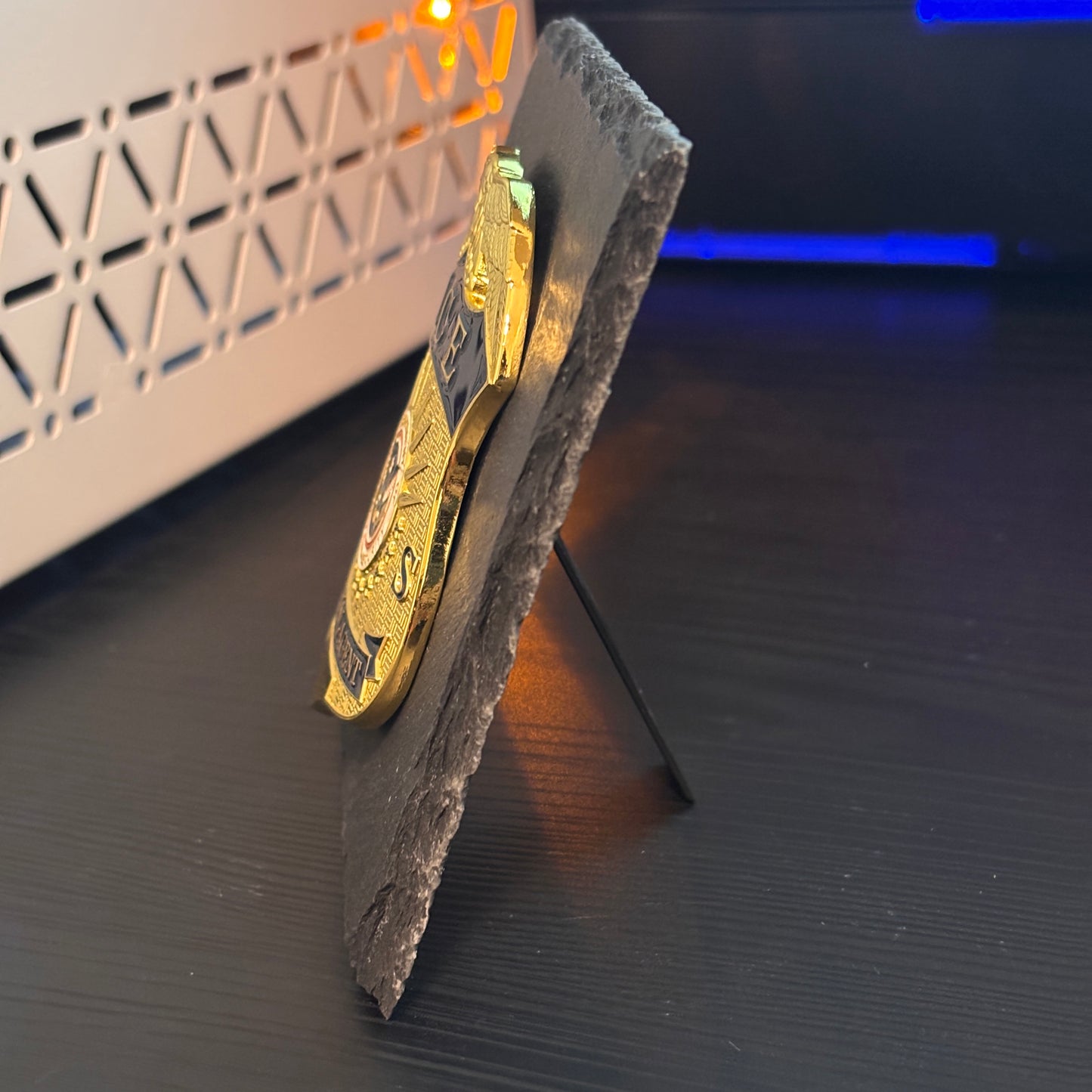 Ice Special agent badge Desk Decor,Law Enforcement Award & Recognition Collectible gifts retirement memorial