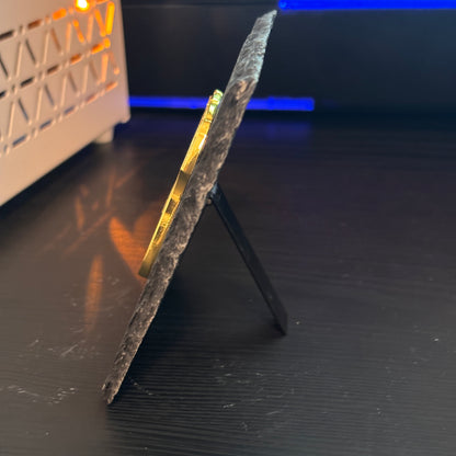 ICE SPECIAL AGENT RETIRED badge Desk Decor,Law Enforcement Award & Recognition Collectible gifts retirement memorial