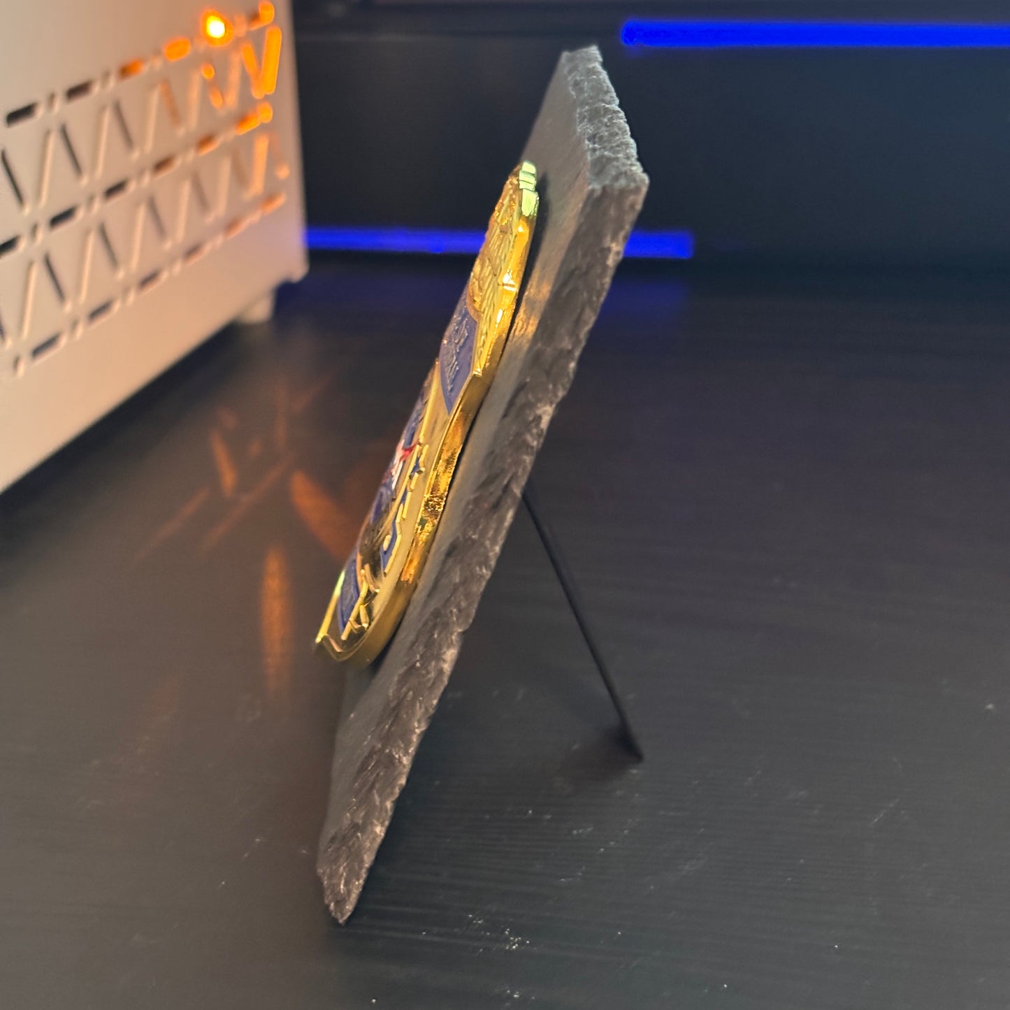 Inspector general badge Desk Decor,Law Enforcement Award & Recognition Collectible gifts retirement memorial