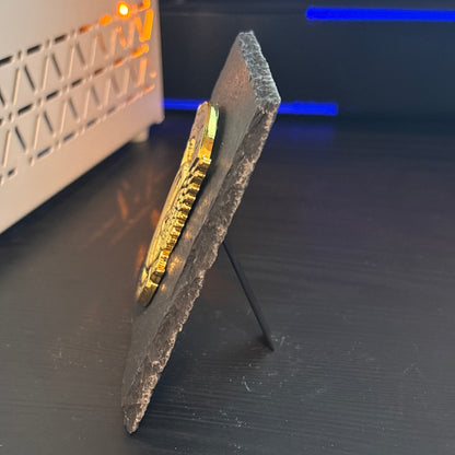 Motor officer badge Desk Decor,Law Enforcement Award & Recognition Collectible gifts retirement memorial