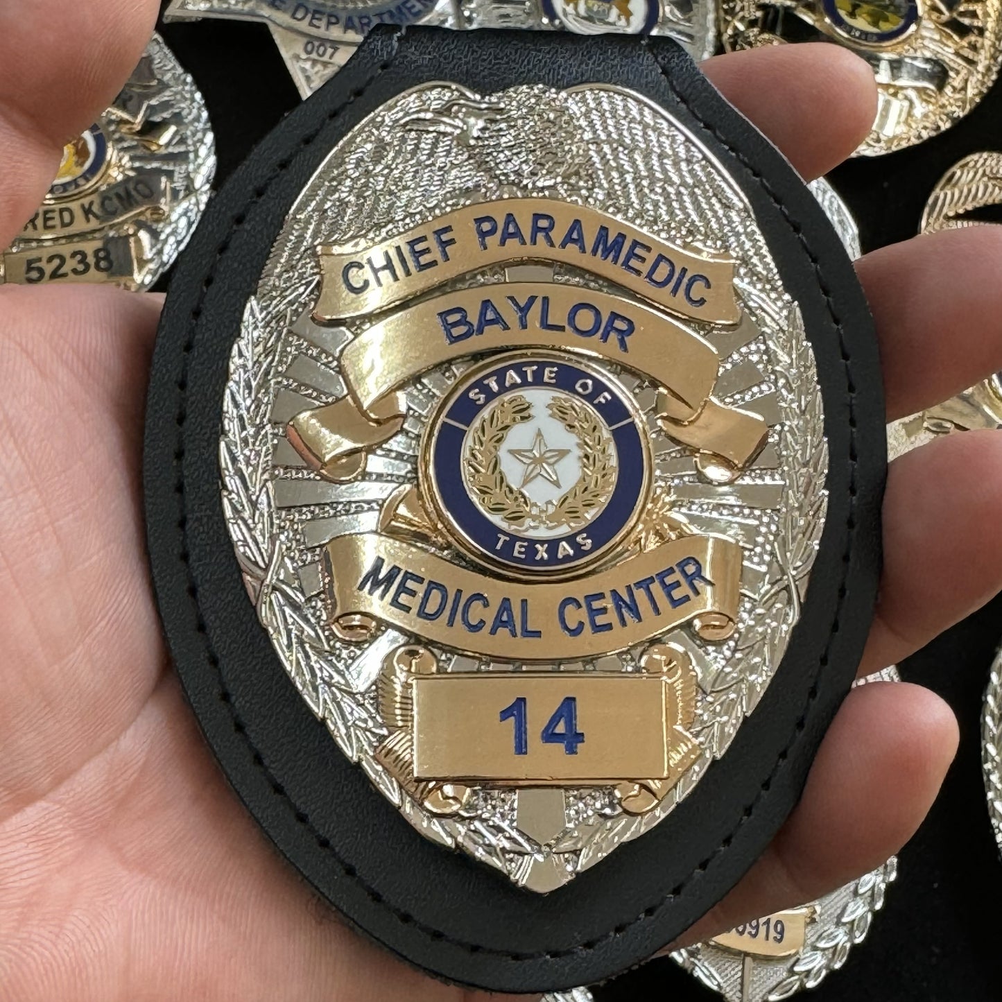 Insignia personalizable BA19