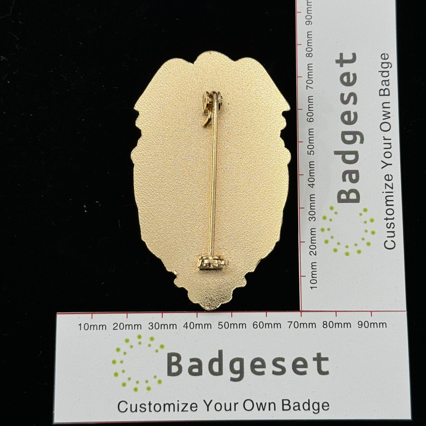 Insignia personalizable BA17
