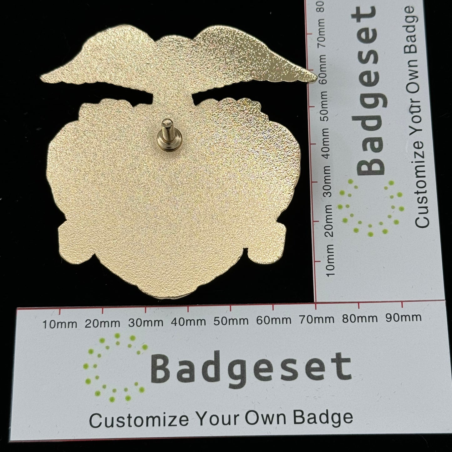 Insignia personalizable BA22