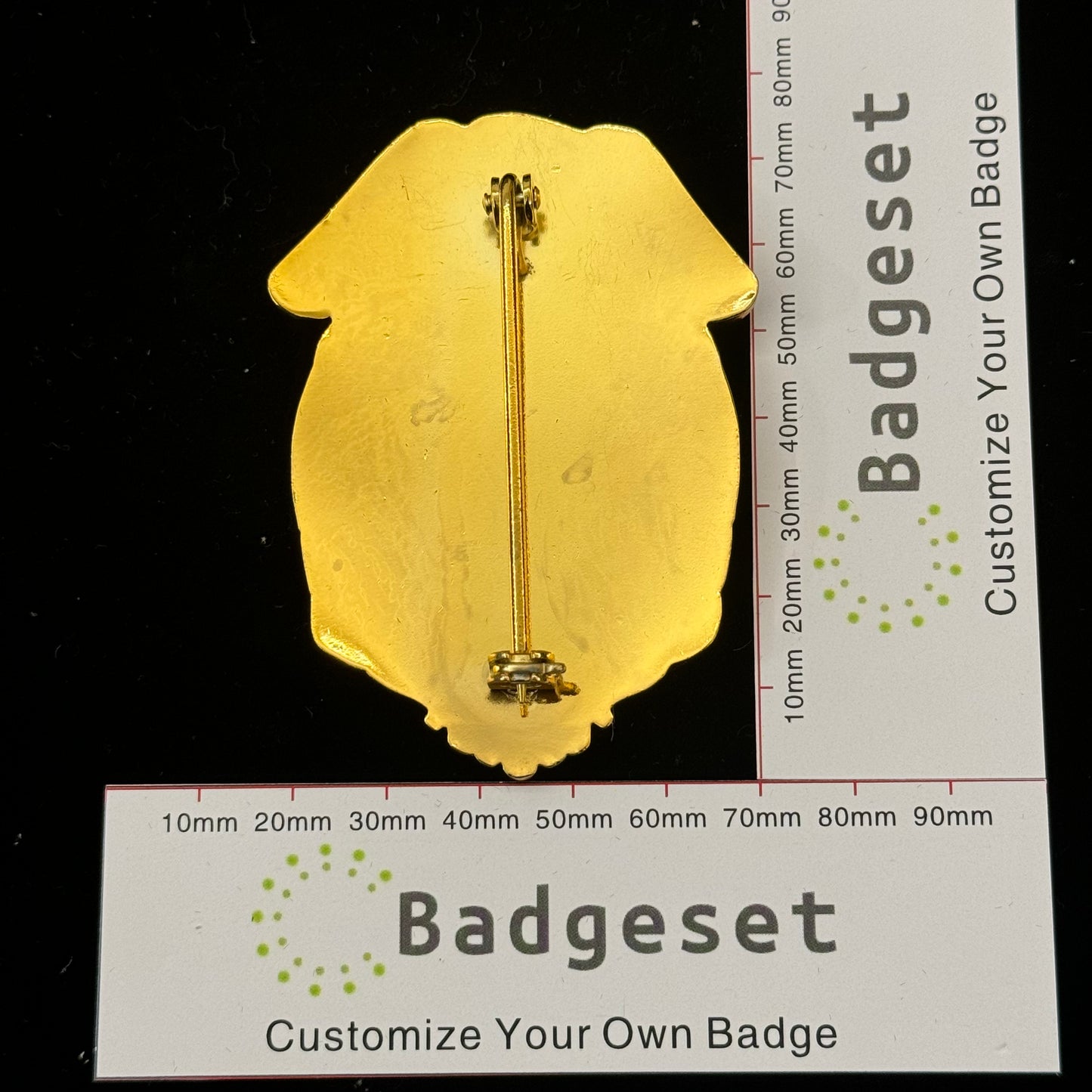 US Investigator FDA Badge Replica Movie Props #1