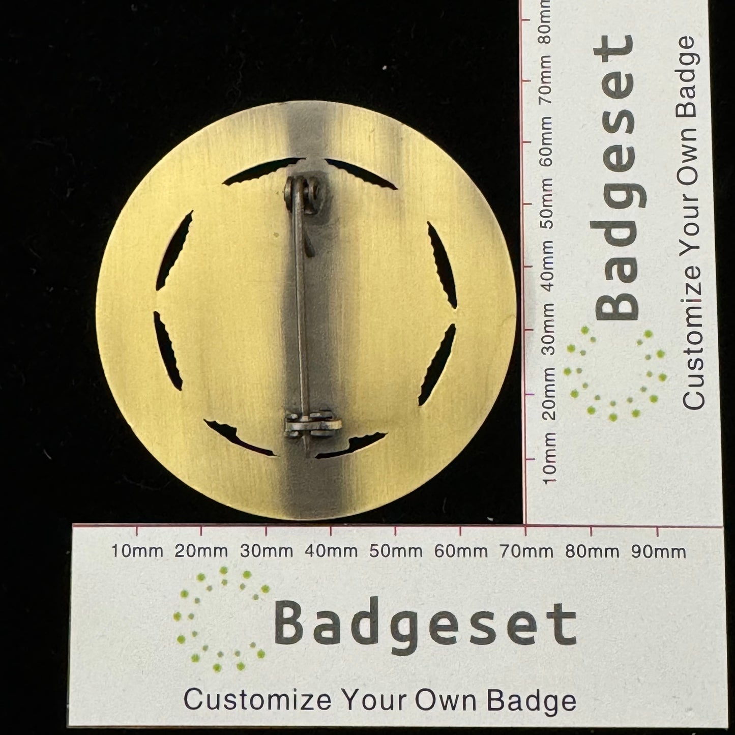 司法省連邦刑務局バッジ カスタマイズ可能な番号