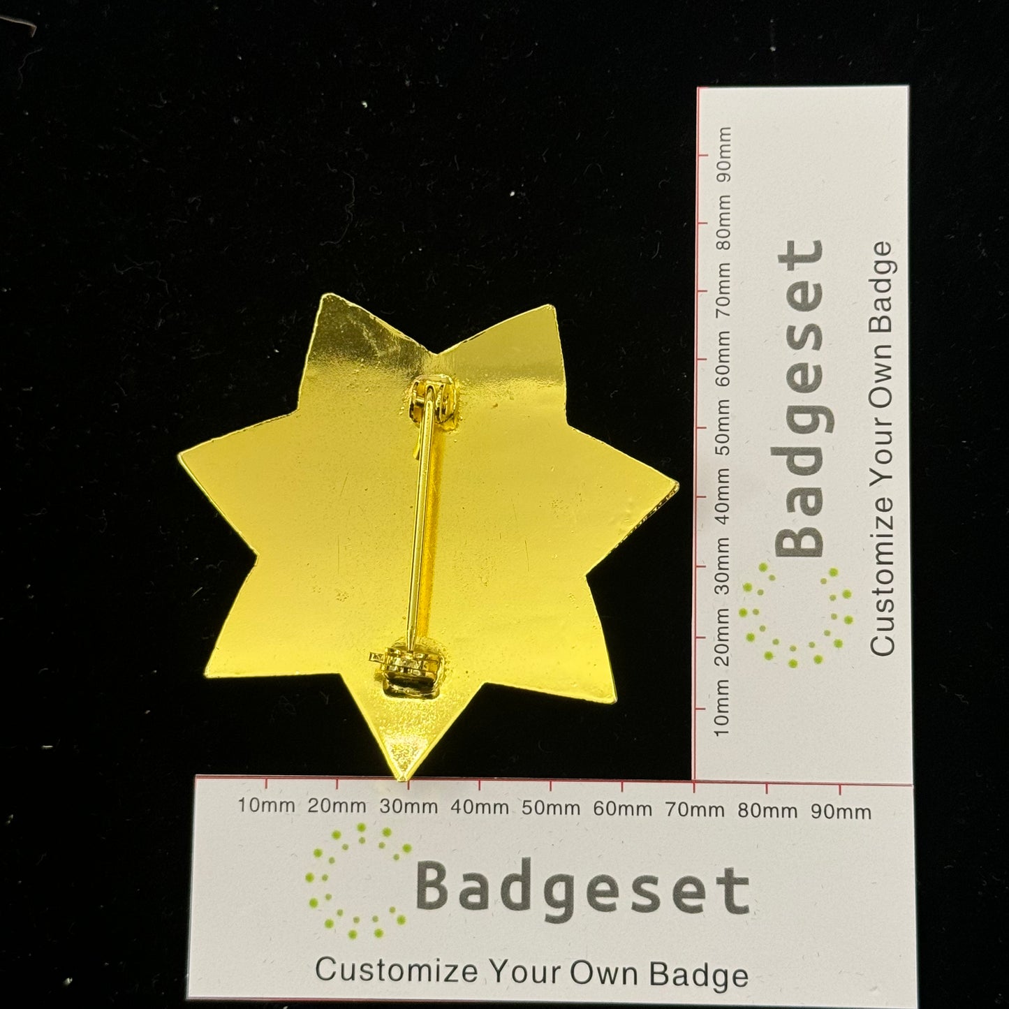 CAPTAIN S.F.POLICE BADGE Movie prop badges