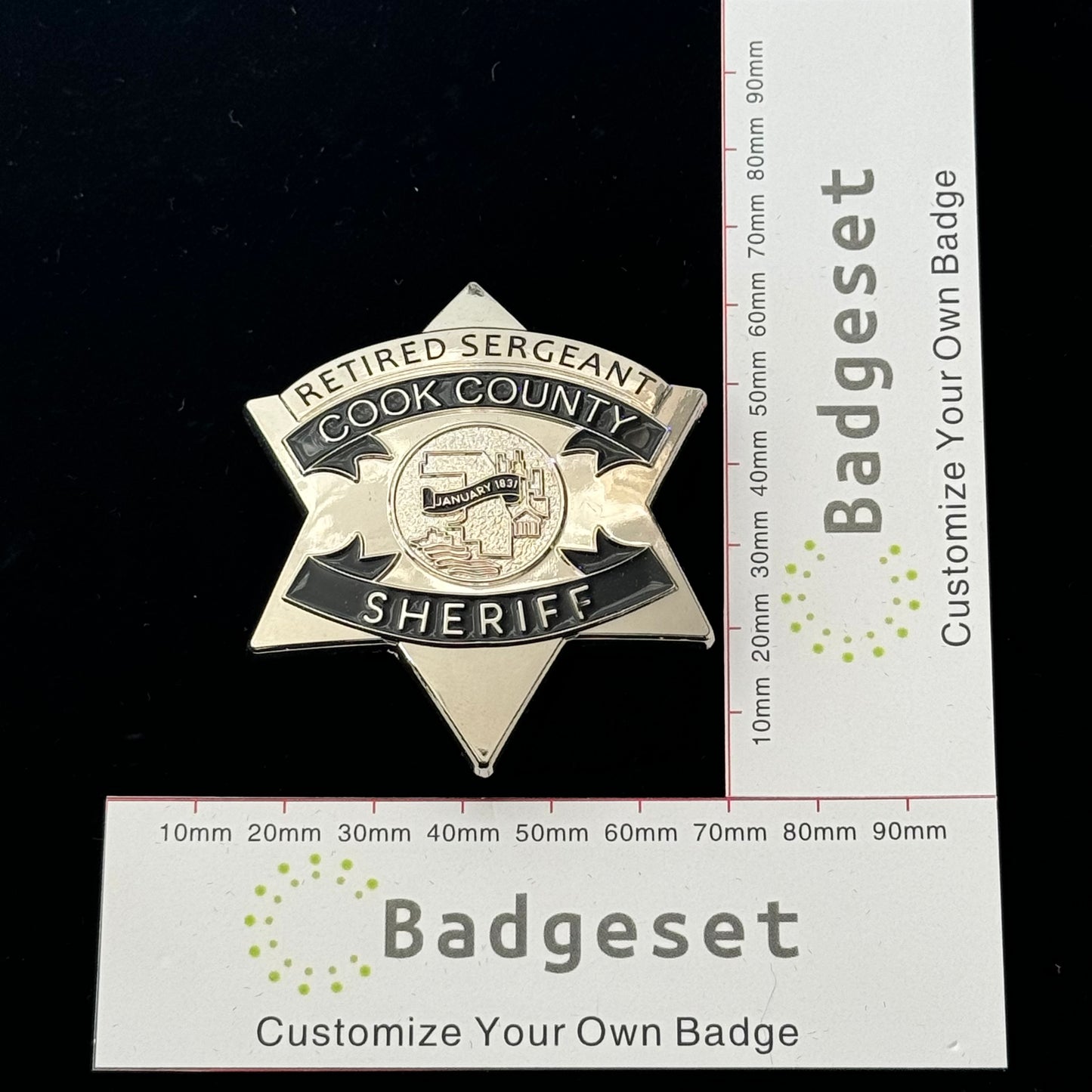 CCSO Cook County Sheriff Star Gold Badge Customizable Number Moive Pro ...