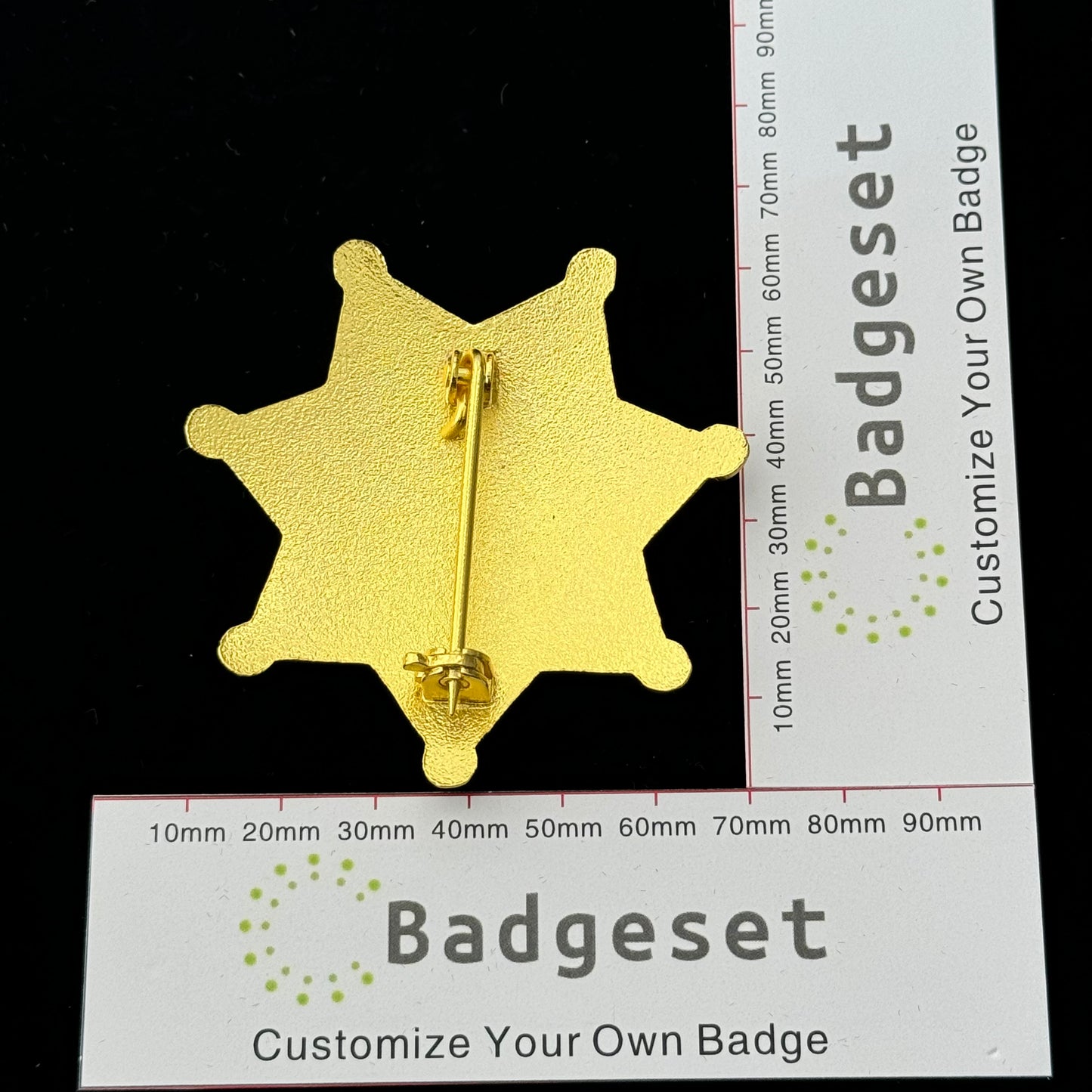 DEPUTY SHERIFF ALAMED CO. Customizable Number  Movie prop badges