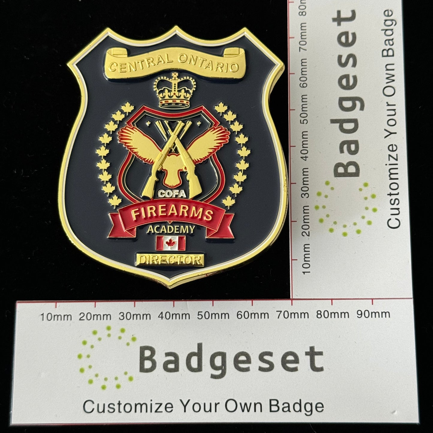 CENTRAL ONTARIO DIRECTOR  Movie prop badges
