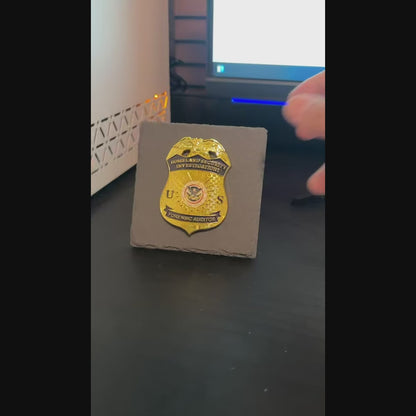 forensic auditor  police badge Desk Decor,Law Enforcement Award & Recognition Collectible gifts retirement memorial